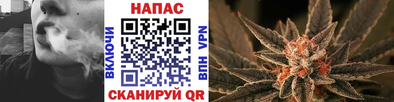 Виды наркотиков купить Гдов МАРИХУАНА  Псилоцибиновые грибы  Альфа ПВП  Мефедрон  Кокаин 