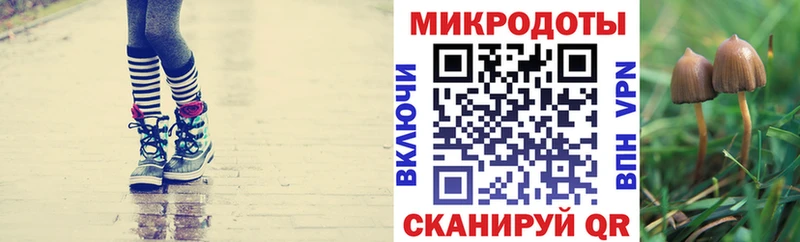Псилоцибиновые грибы MAGIC MUSHROOMS  Гдов 